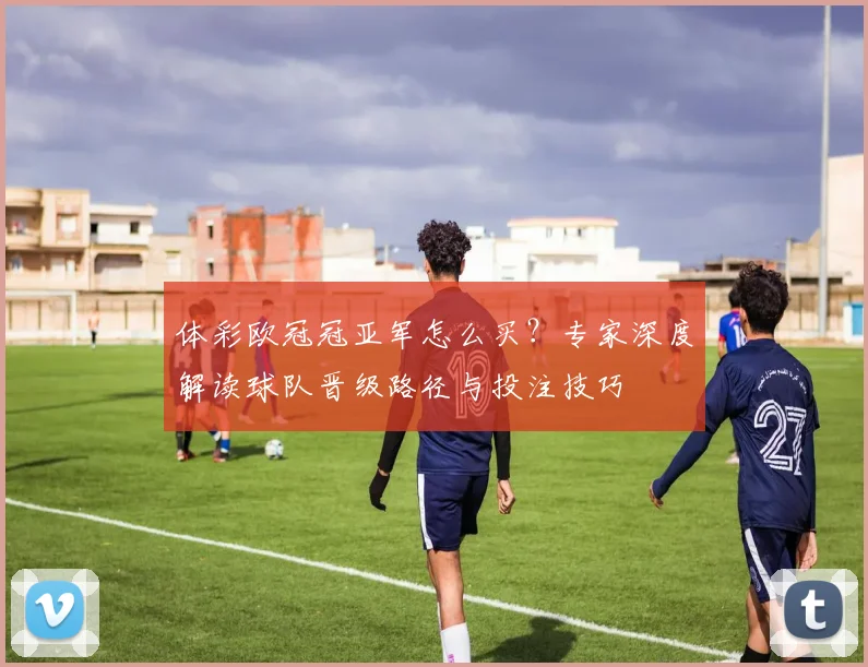 体彩欧冠冠亚军怎么买？专家深度解读球队晋级路径与投注技巧